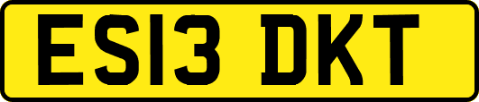 ES13DKT