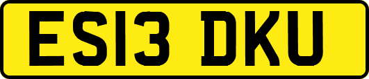ES13DKU