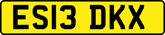 ES13DKX