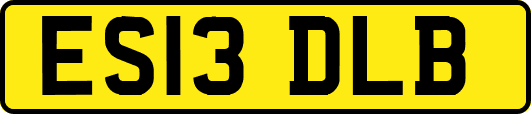ES13DLB