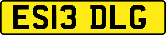 ES13DLG