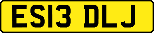 ES13DLJ