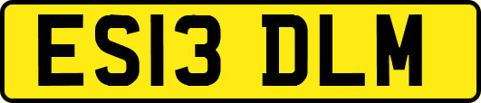 ES13DLM