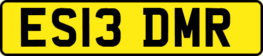 ES13DMR