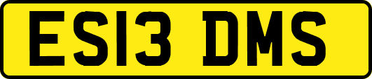 ES13DMS