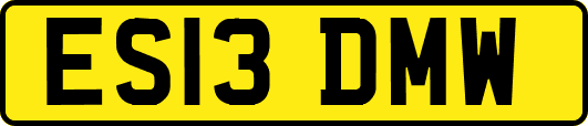 ES13DMW