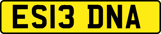 ES13DNA