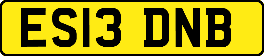 ES13DNB