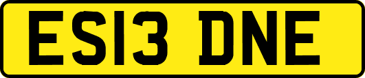 ES13DNE