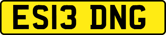 ES13DNG
