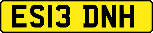 ES13DNH