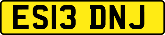 ES13DNJ