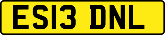 ES13DNL