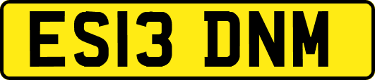 ES13DNM