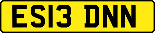 ES13DNN