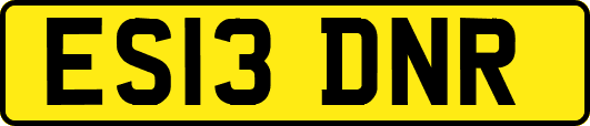 ES13DNR