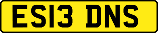 ES13DNS