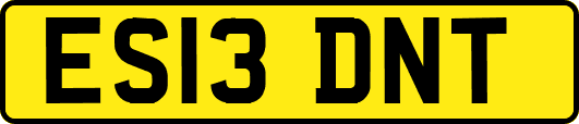 ES13DNT