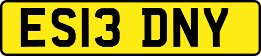 ES13DNY