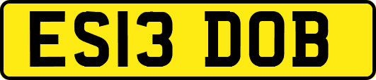 ES13DOB