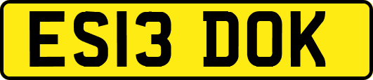 ES13DOK