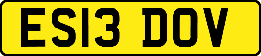 ES13DOV