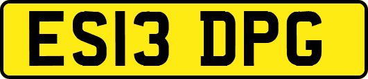 ES13DPG