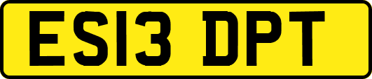 ES13DPT