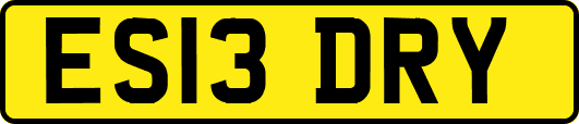 ES13DRY