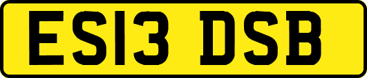 ES13DSB