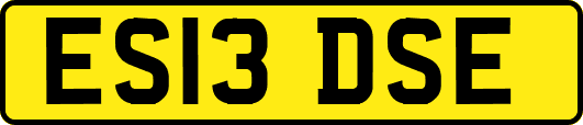 ES13DSE