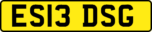 ES13DSG