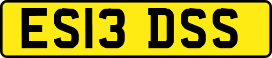 ES13DSS