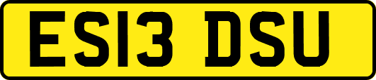 ES13DSU