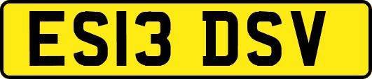 ES13DSV