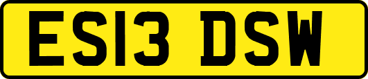 ES13DSW