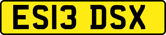 ES13DSX
