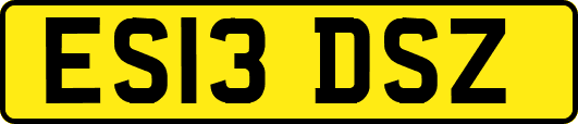 ES13DSZ