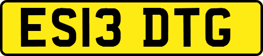 ES13DTG