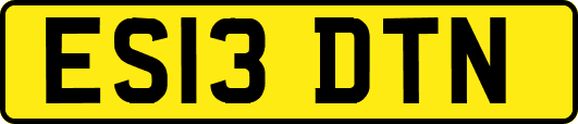 ES13DTN