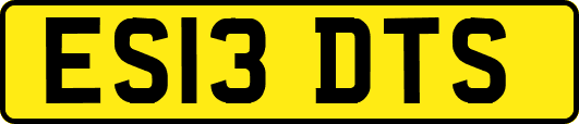 ES13DTS