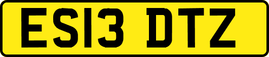 ES13DTZ