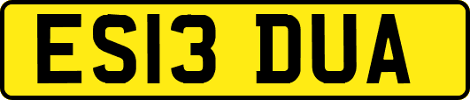 ES13DUA