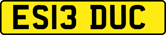 ES13DUC