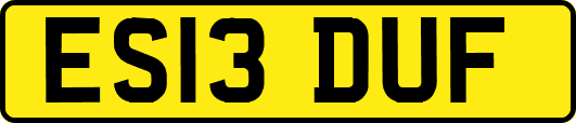 ES13DUF