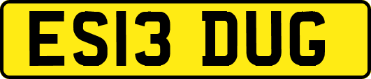 ES13DUG