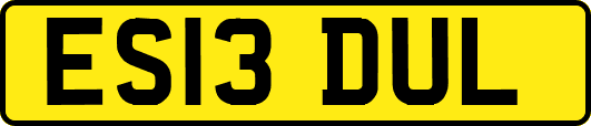 ES13DUL