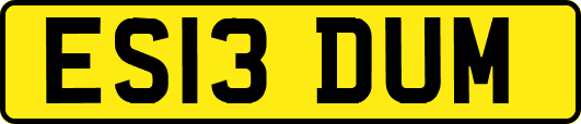 ES13DUM