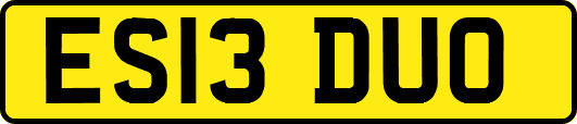 ES13DUO