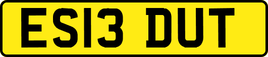 ES13DUT